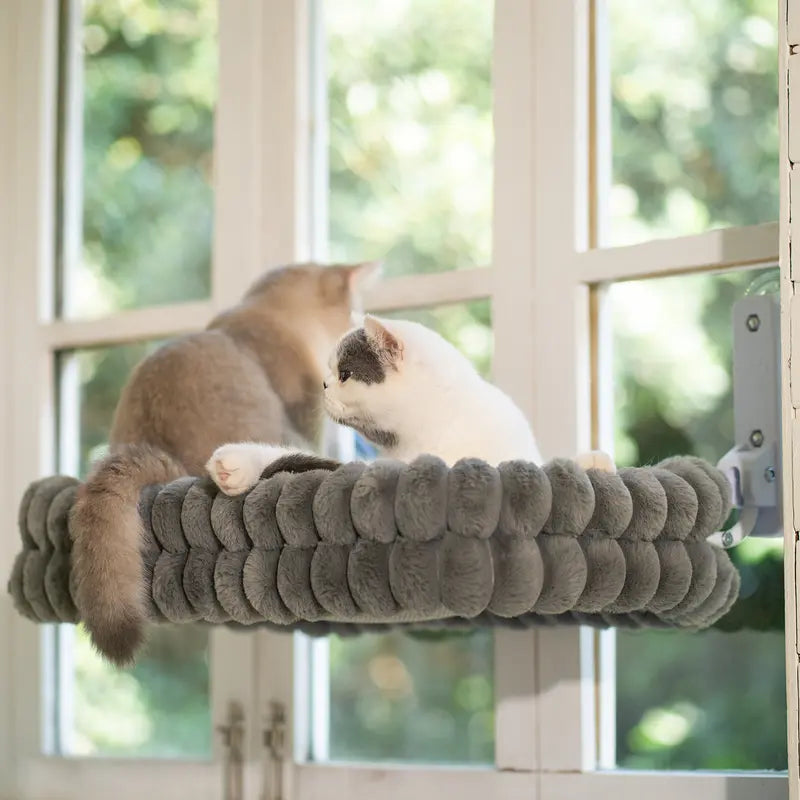 Cat Window Hammock