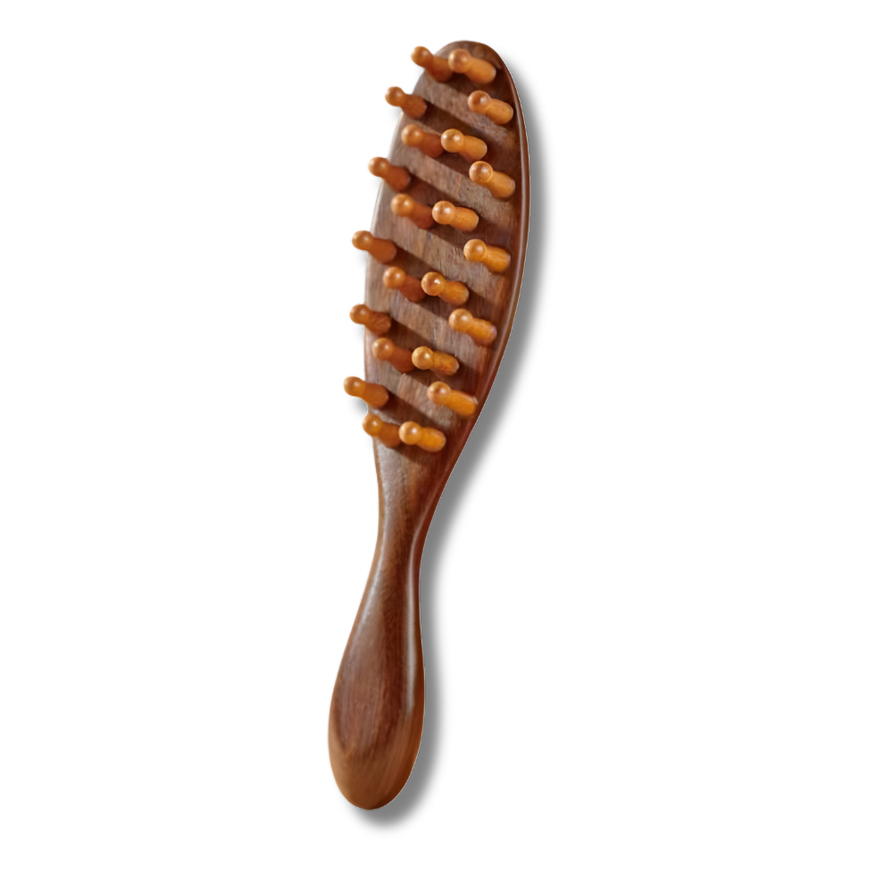 Wooden Loc Brush