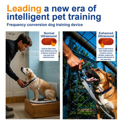 Sonic Dog Training Device