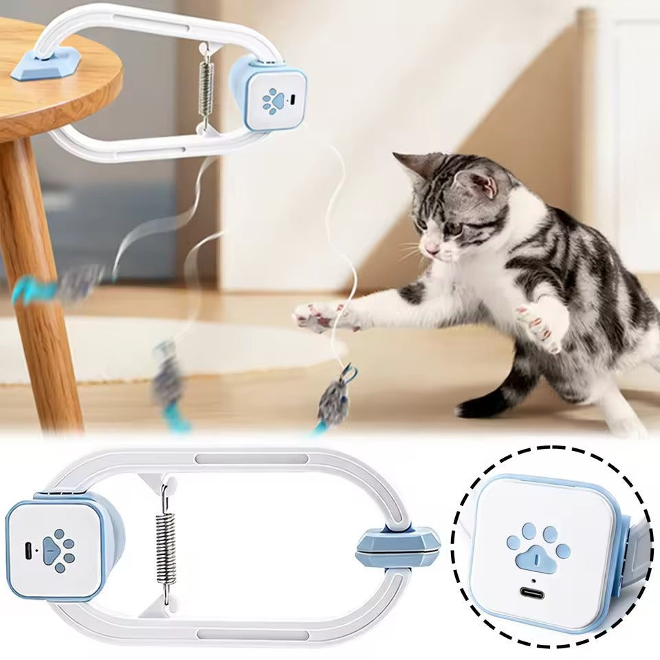 Interactive Cat Teaser Toy