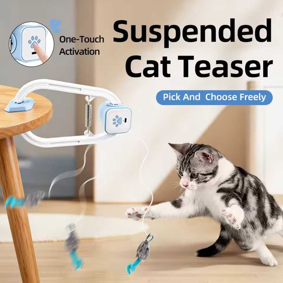 Interactive Cat Teaser Toy