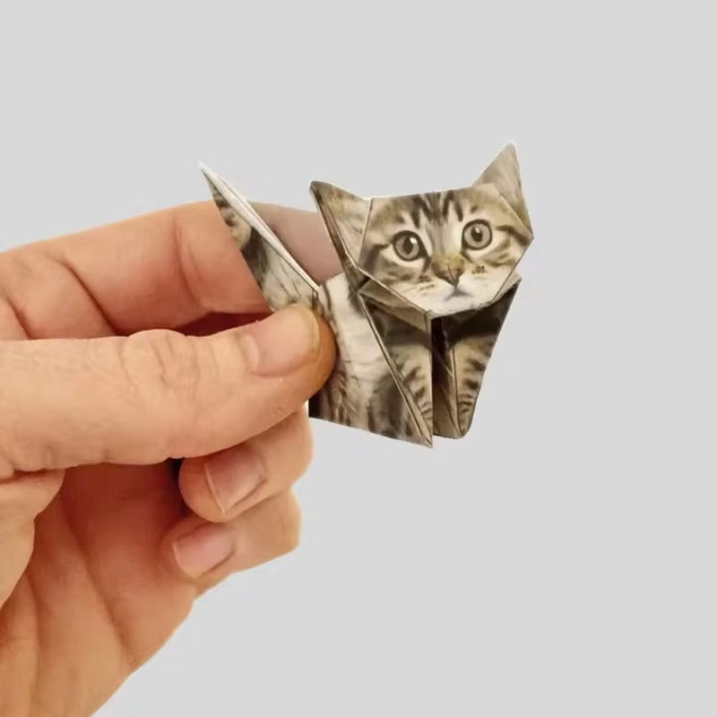 DIY Origami Kit